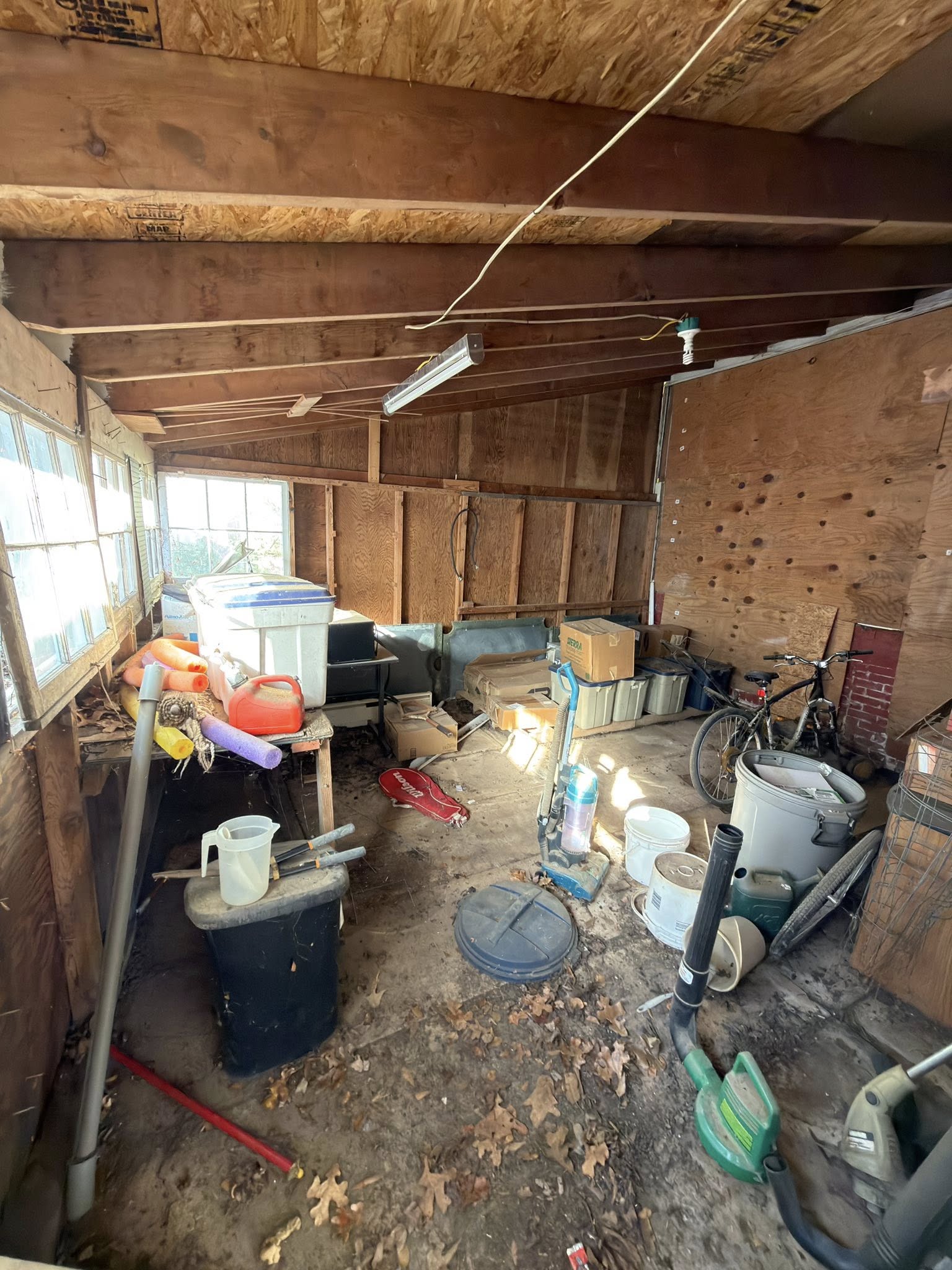 Shed Cleanout