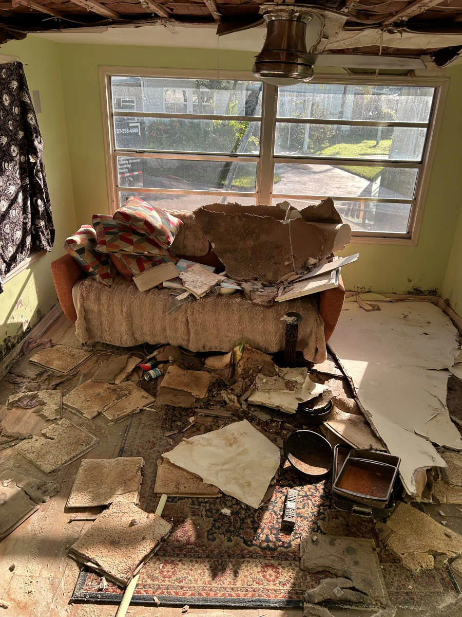 Foreclosure Cleanout