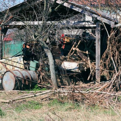 Shed Cleanout