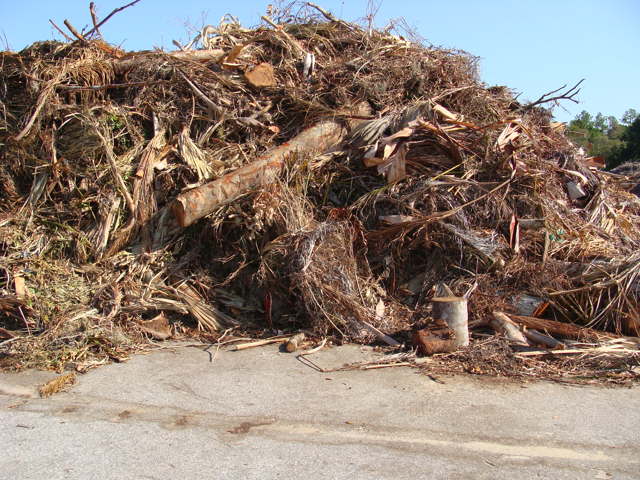 Junk Removal Yard Waste Pickup and Disposal