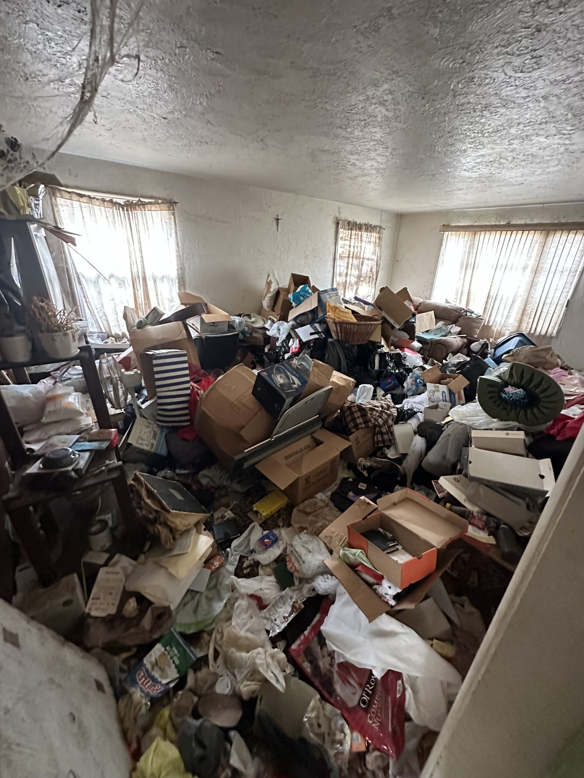 Foreclosure Cleanout