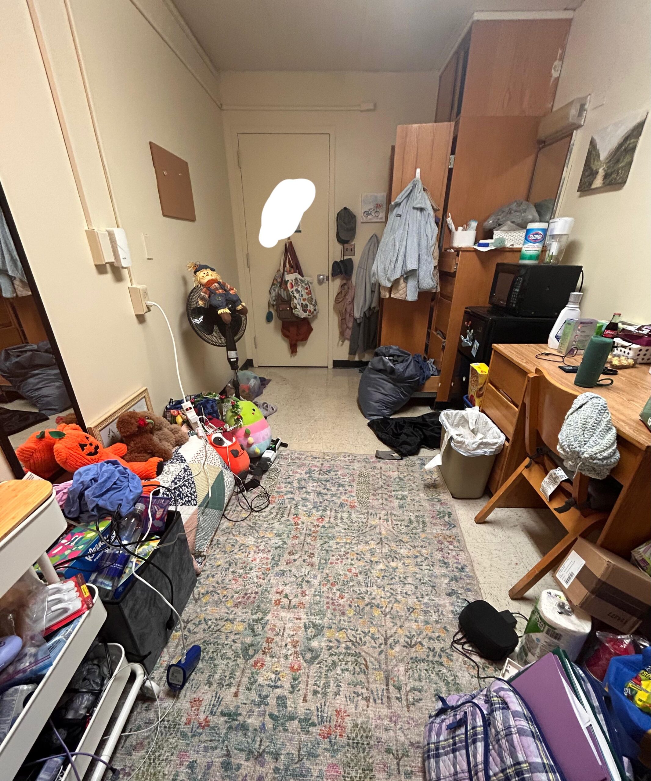 College Dorm Room Cleanout