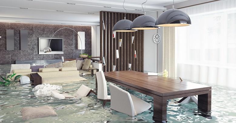 Flood Damage Cleanout