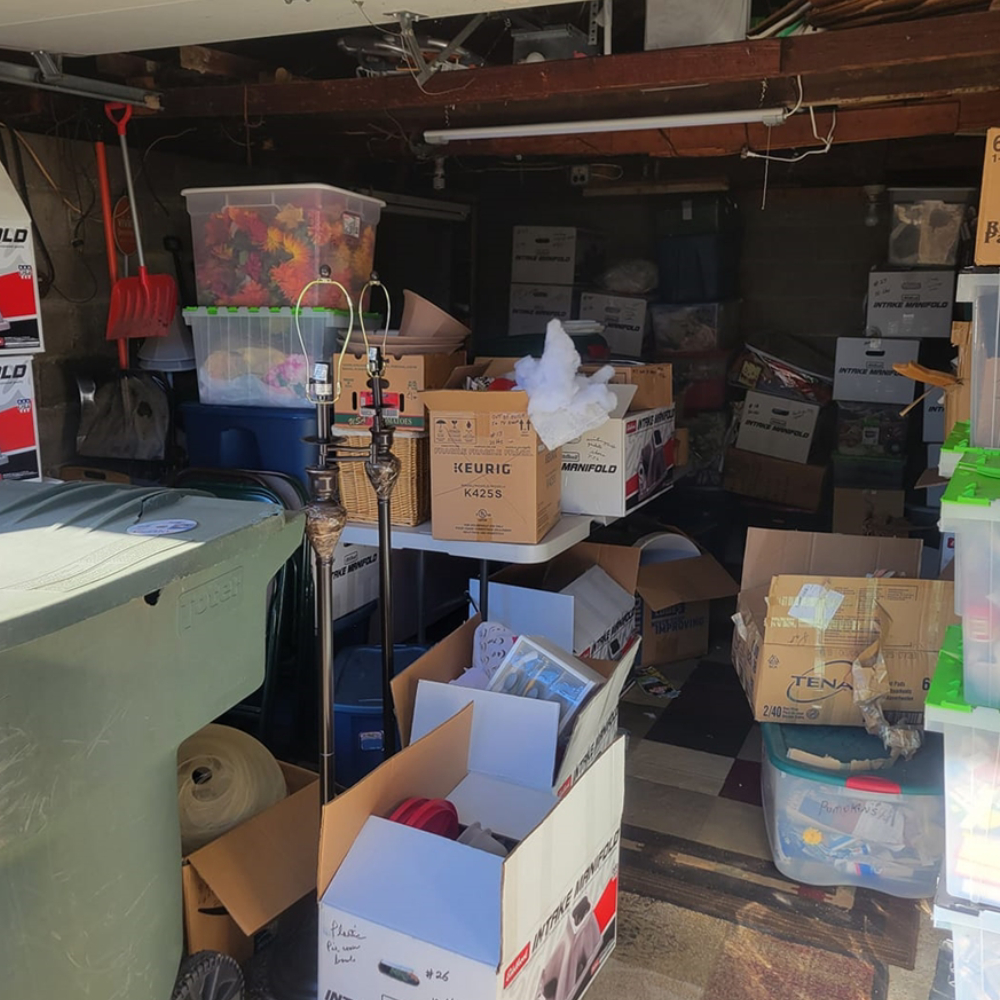 Junk Removal Cleanout