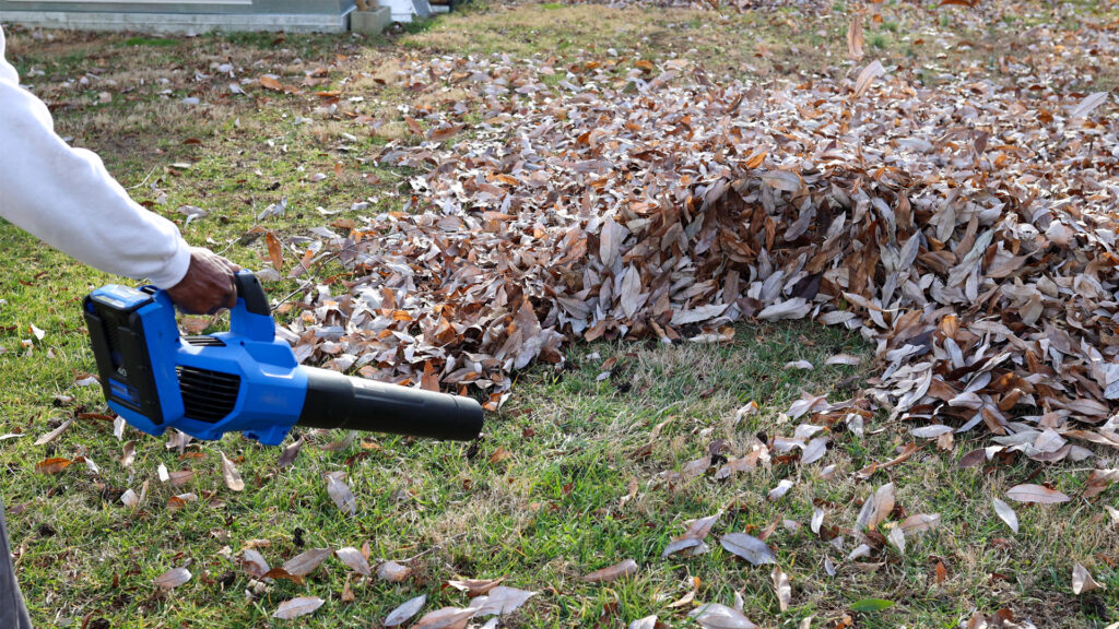 Yard Waste Pickup and Disposal Service